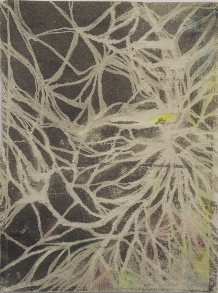 Butterfly-wing-4-24cm-x-17cm-graphite-powder-and-coloured-pencil-on-paper-2023